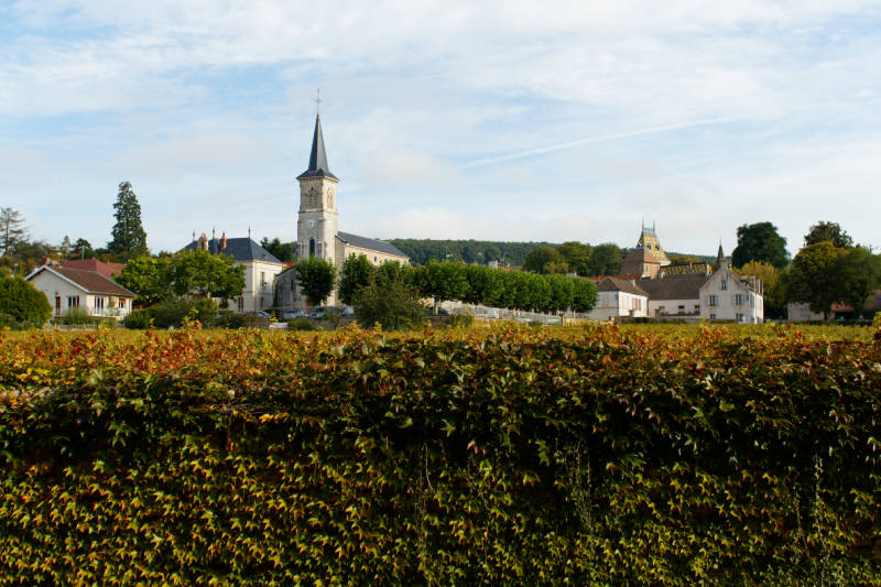 Vue d'Aloxe-Corton